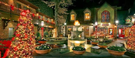 House (30) | Property grounds