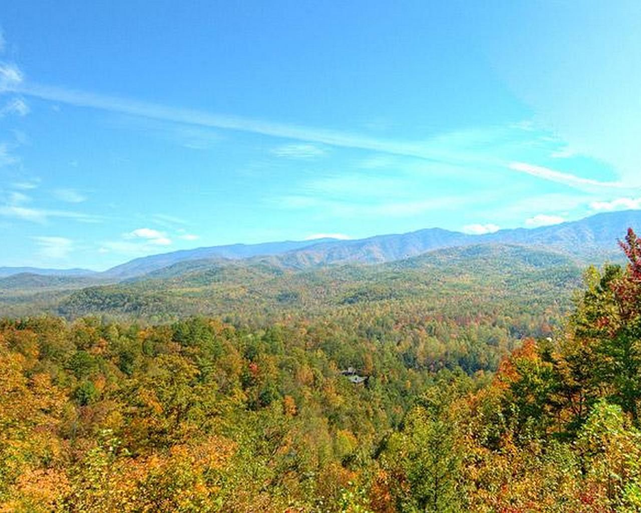 A mountainous landscape with dense forest and a small cabin.