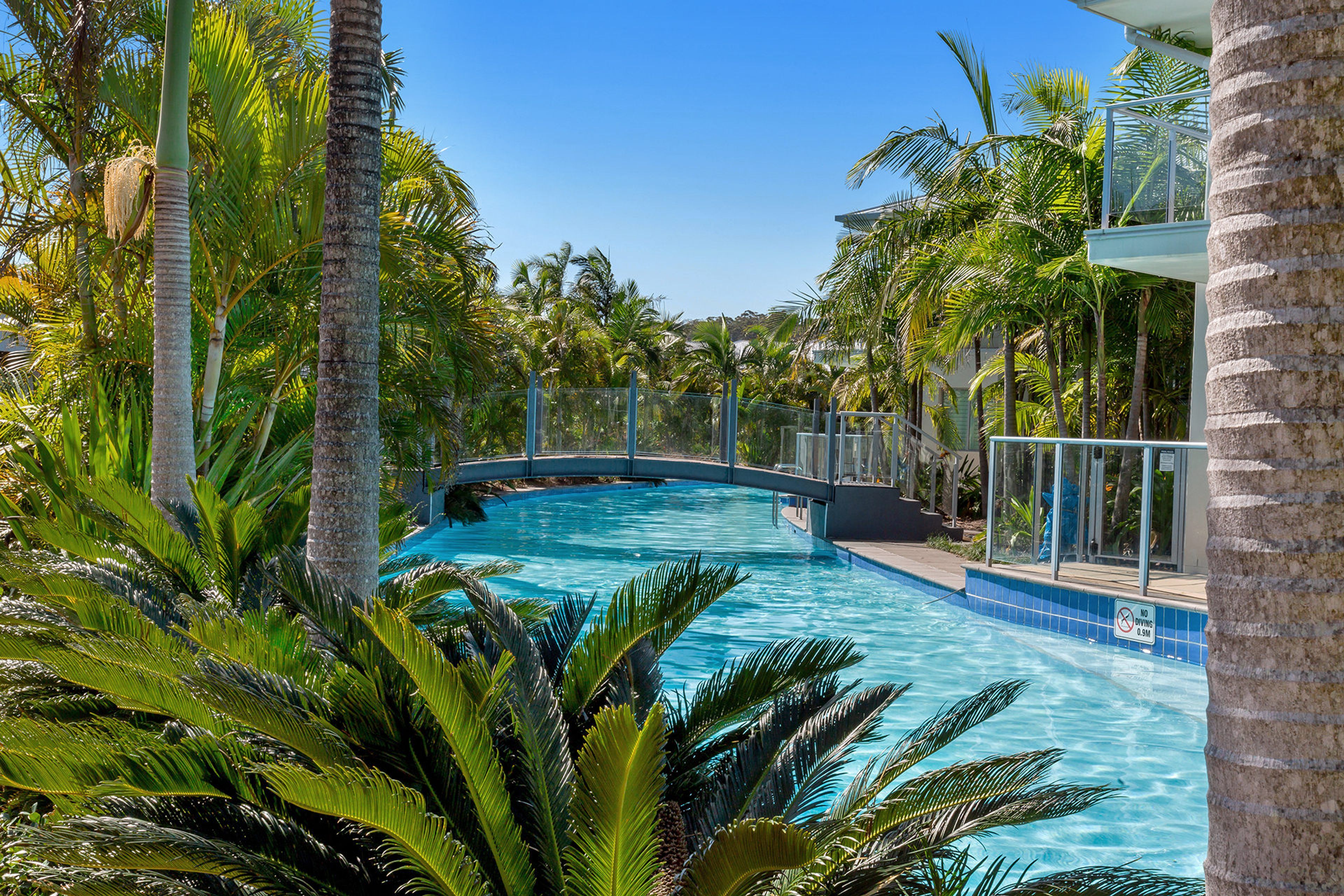 A swimming pool surrounded by palm trees and a bridge.