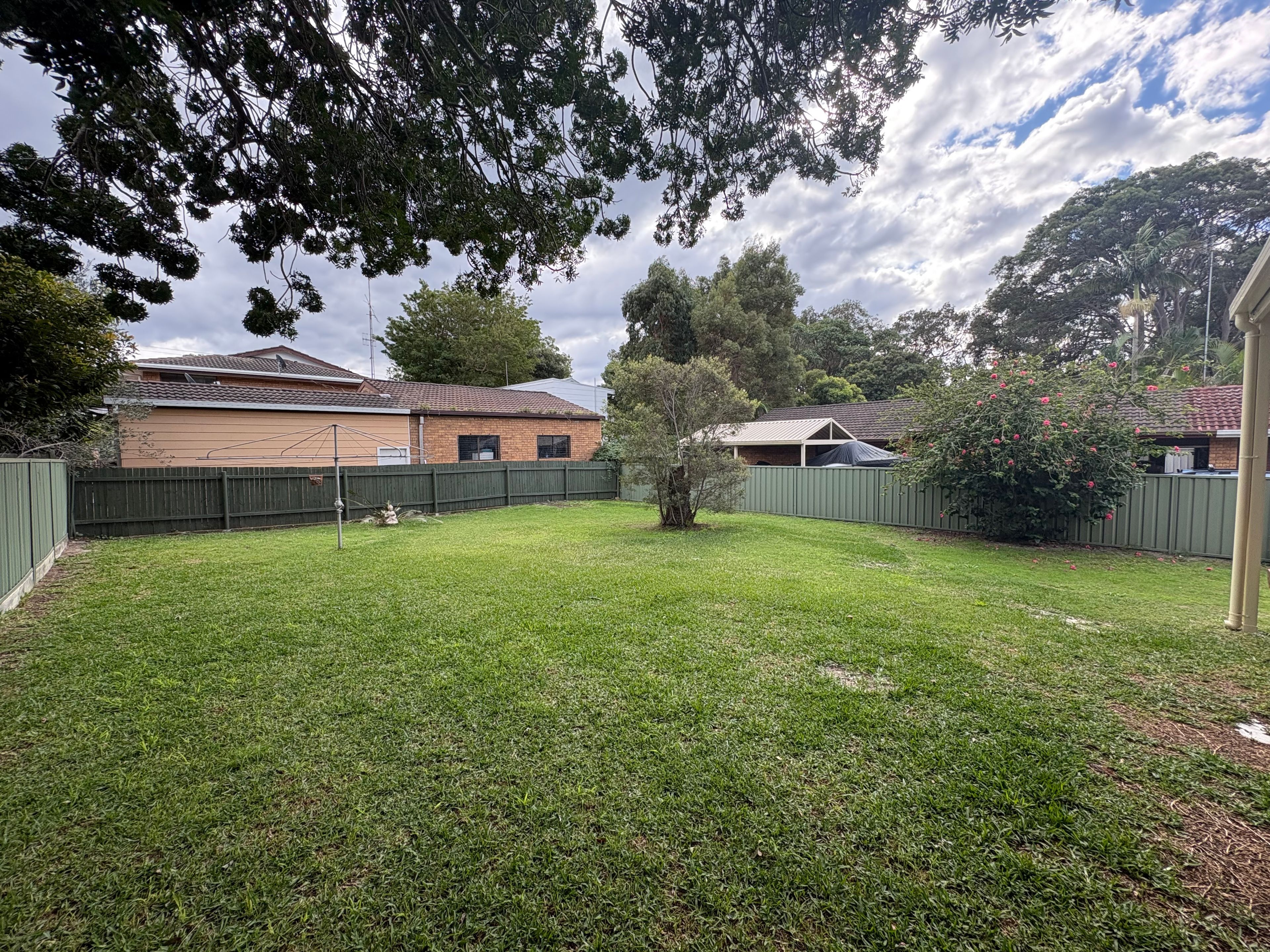 A backyard with a lawn, a wooden fence, and a house in the background.