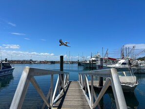 A marina with boats docked, a pier extending into the water, and a police boat.