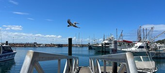 Nelson Towers, Unit 37/71 Victoria Parade