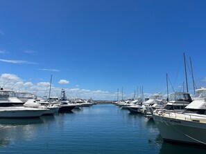 Un puerto deportivo con varias embarcaciones amarradas en aguas tranquilas bajo un cielo despejado.