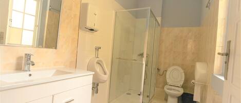A modern bathroom with a glass shower enclosure, a white sink, and a toilet.