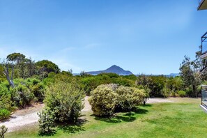 A grassy area with a mountain in the background, surrounded by dense shrubbery.