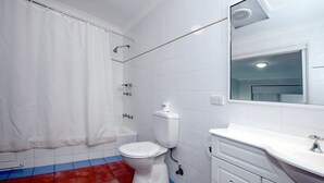 Combined shower/bathtub