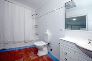 Combined shower/bathtub