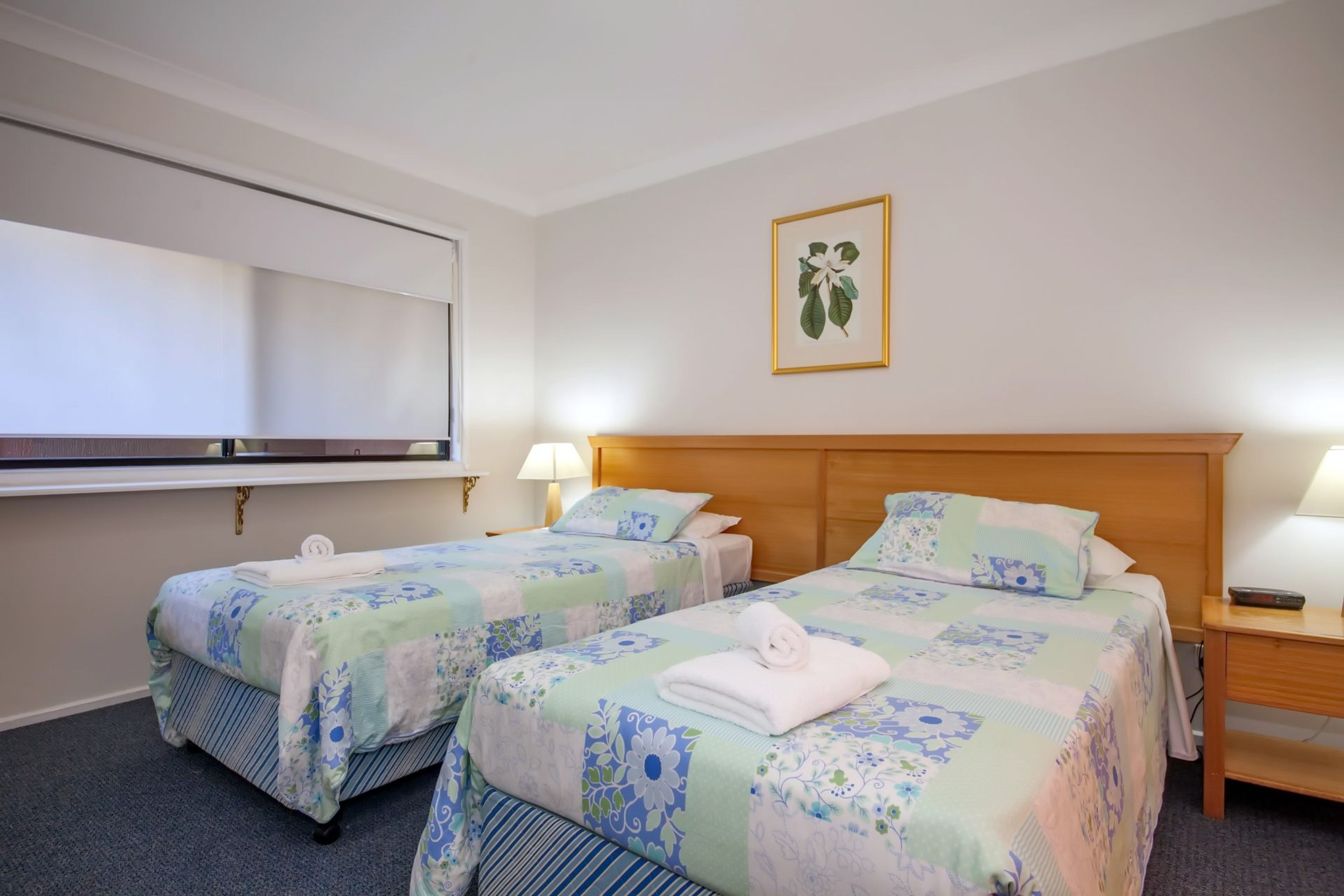 Une chambre d’hôtel avec deux lits, une grande fenêtre, un téléviseur fixé au mur et une estampe botanique encadrée.