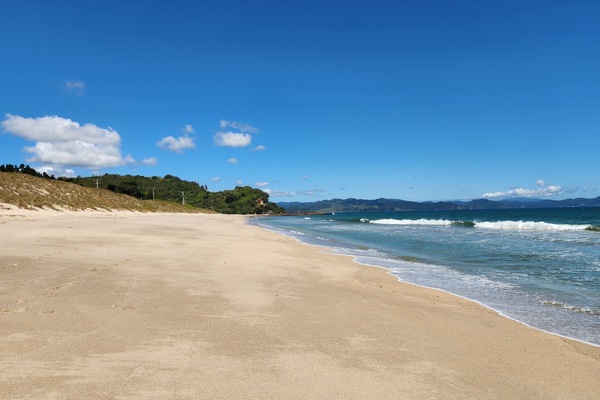 Ubicación a pie de playa y tumbonas