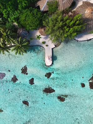 A tropical beach resort with clear turquoise waters, a white sandy beach, and lush greenery. - EDEN - Private Island - TAHA'A (Taha'a)