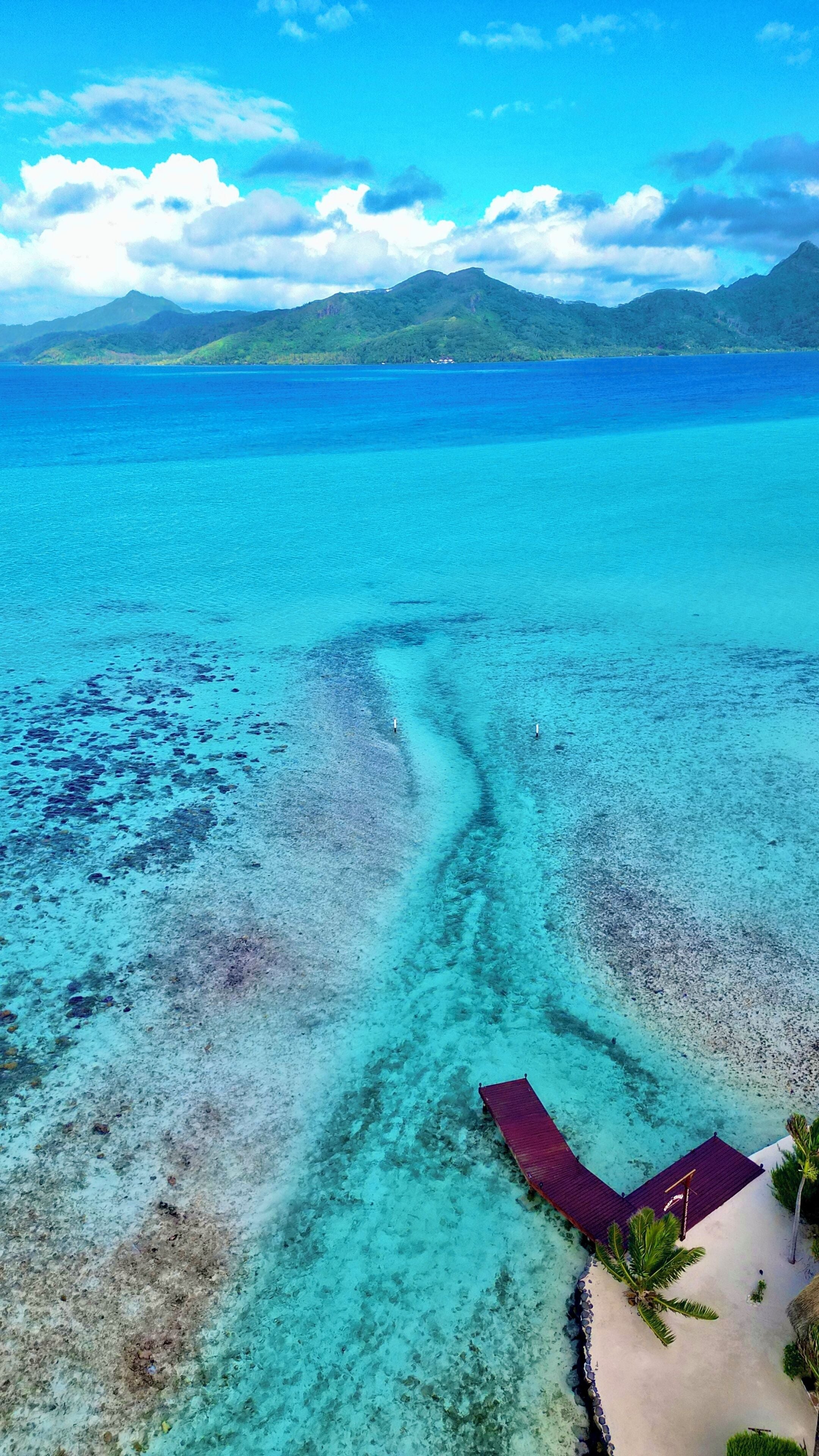 An aerial view of a beach with clear turquoise waters, a wooden structure with a red roof, and a small palm tree.