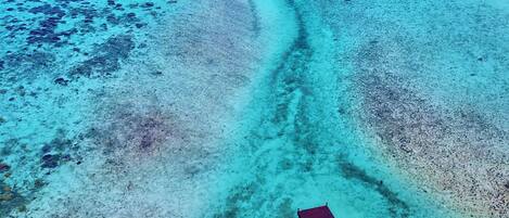 An aerial view of a beach with clear turquoise waters, a wooden structure with a red roof, and a small palm tree.