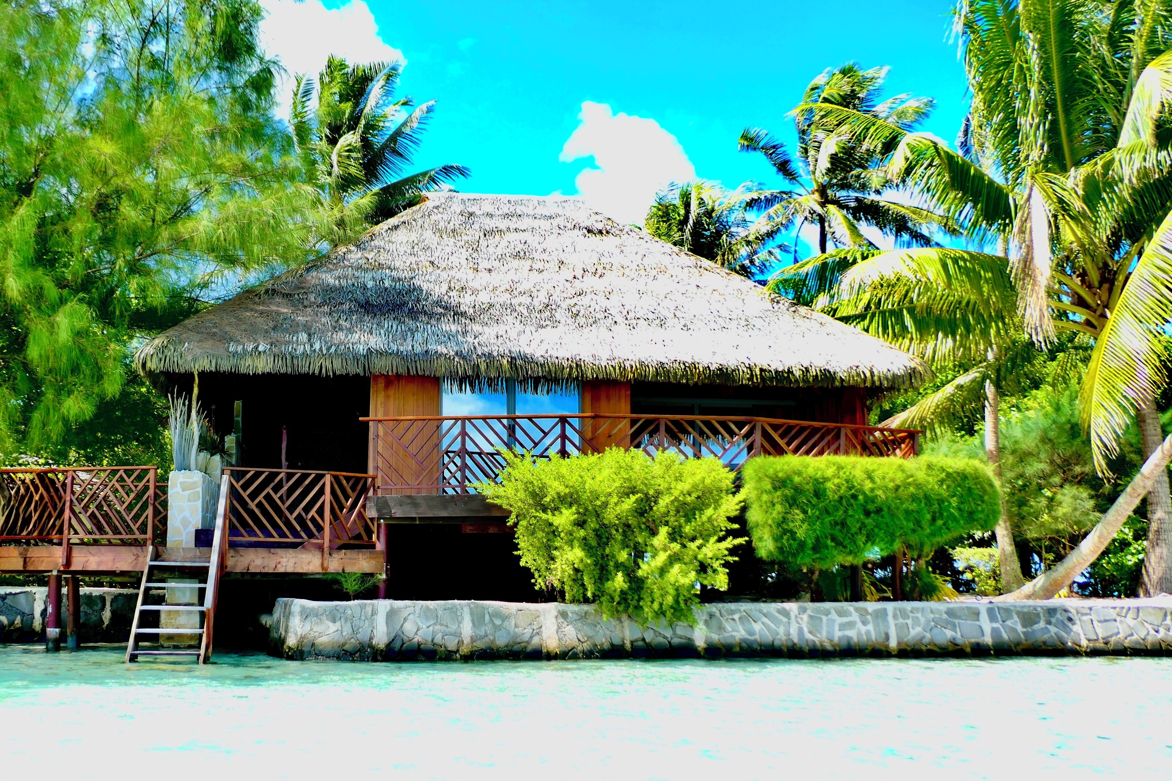 A thatched-roof hut with a wooden deck and a ladder leading to a stone platform.