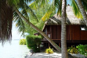 Egyptian cotton sheets, premium bedding, Select Comfort beds, minibar - EDEN - Private Island - TAHA'A (Taha'a)