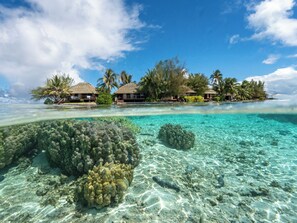 Un resort tropical con bungalows sobre el agua, aguas turquesas cristalinas y formaciones de coral.