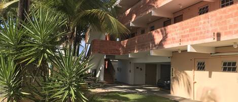 Un patio con una palmera, un edificio de ladrillo y un cielo azul despejado.