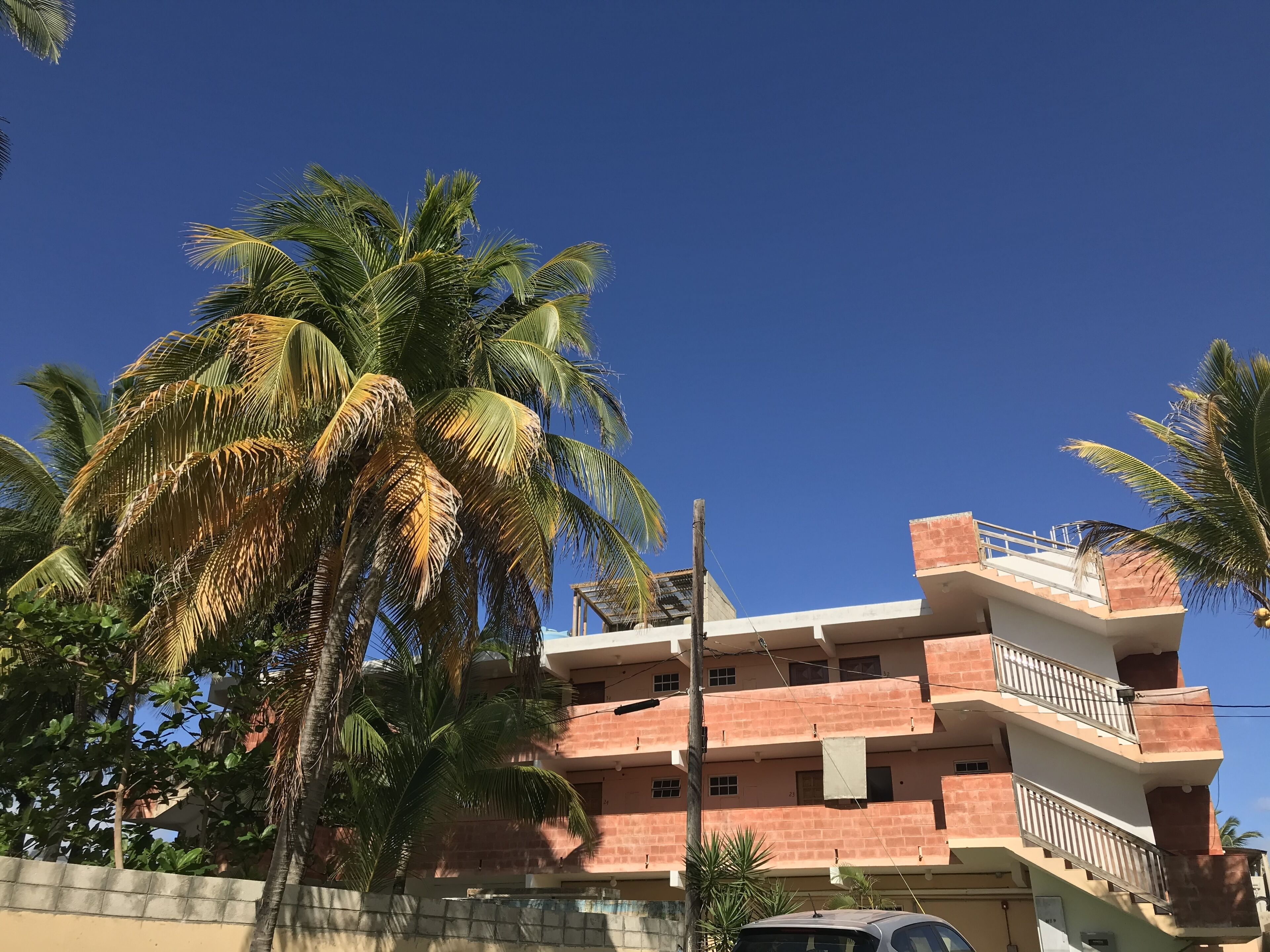 family room, garden view | view from room