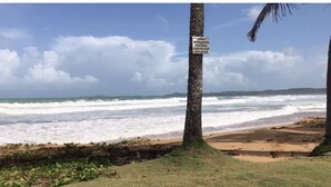 A beach with waves, a sign on a tree, and a clear sky. - Luquillo Sunrise beach Inn (Luquillo)