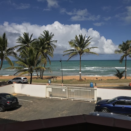 A beachfront property with a parking area, palm trees, and a view of the ocean.