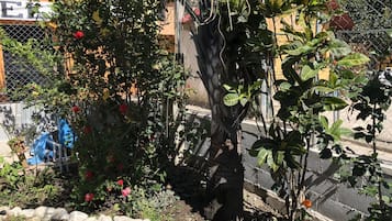 花園
