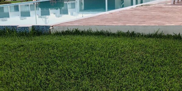 A swimming pool with a tiled edge and a grassy area in the foreground.