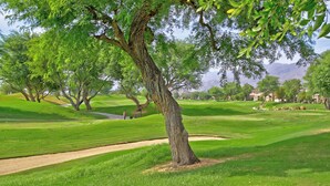 Un parcours de golf avec un arbre imposant au premier plan, une pelouse bien entretenue et une vue dégagée sur le paysage environnant.