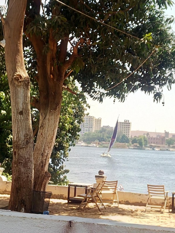 Property grounds - Maghrabi's Guest House (Aswan)