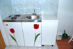 Fridge, stovetop, cookware/dishes/utensils