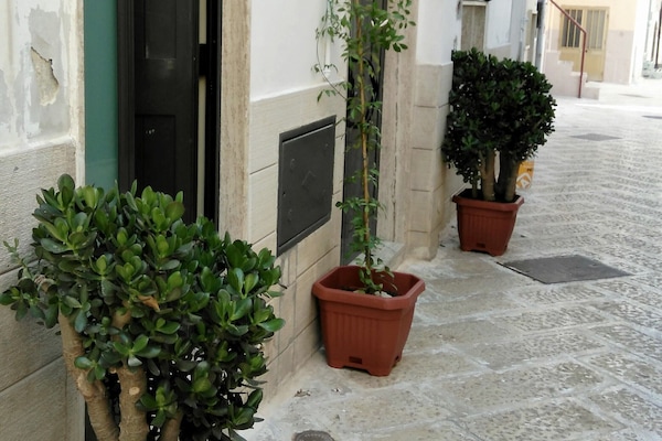 Detalle exterior