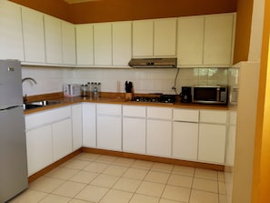 Fridge, microwave, oven, stovetop - Rent It (Aguadilla)