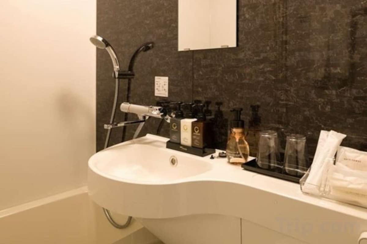 Combined shower/bathtub, free toiletries, hair dryer, slippers