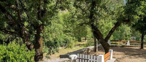 Parco della struttura