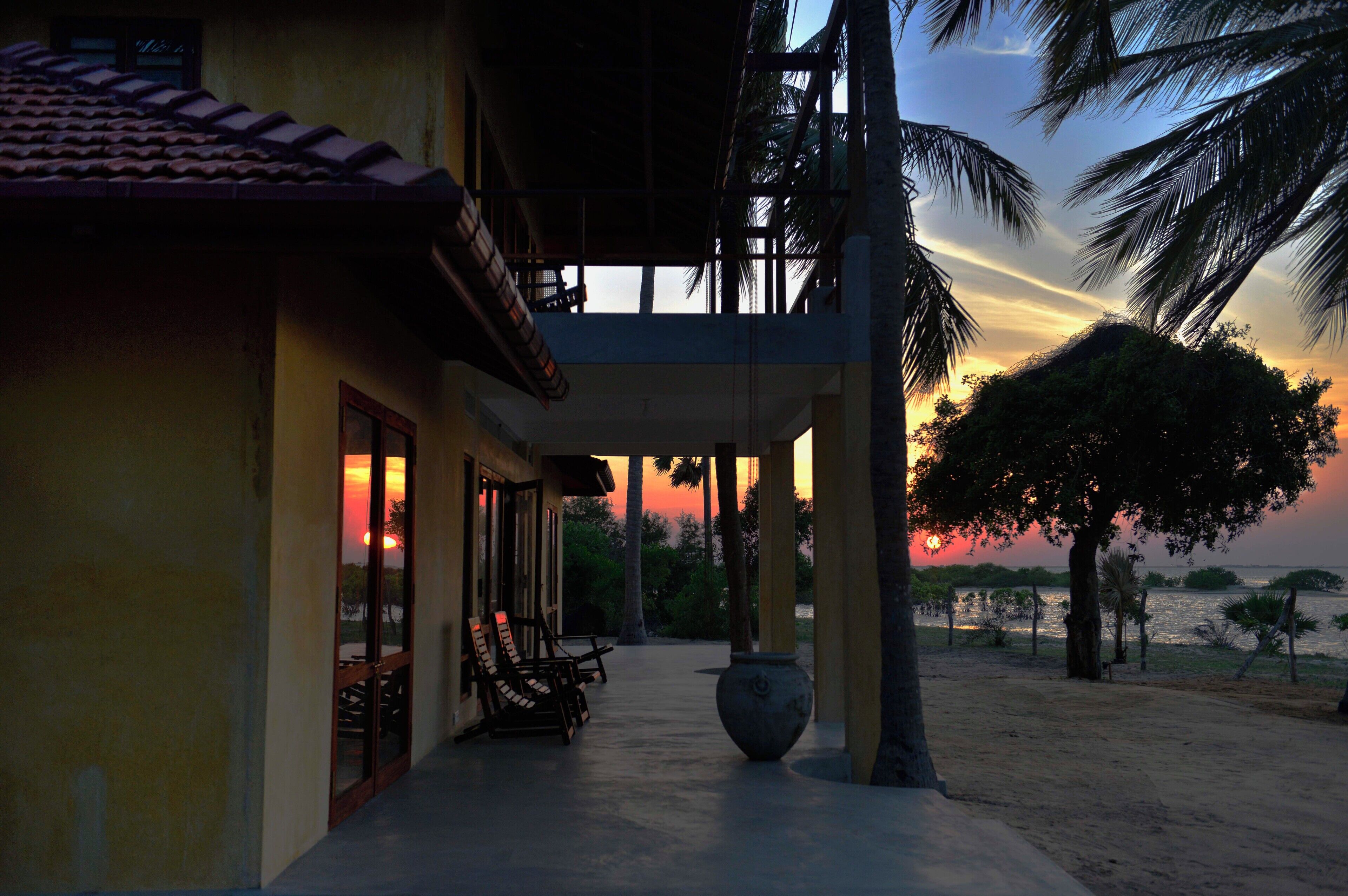 テラス / パティオ