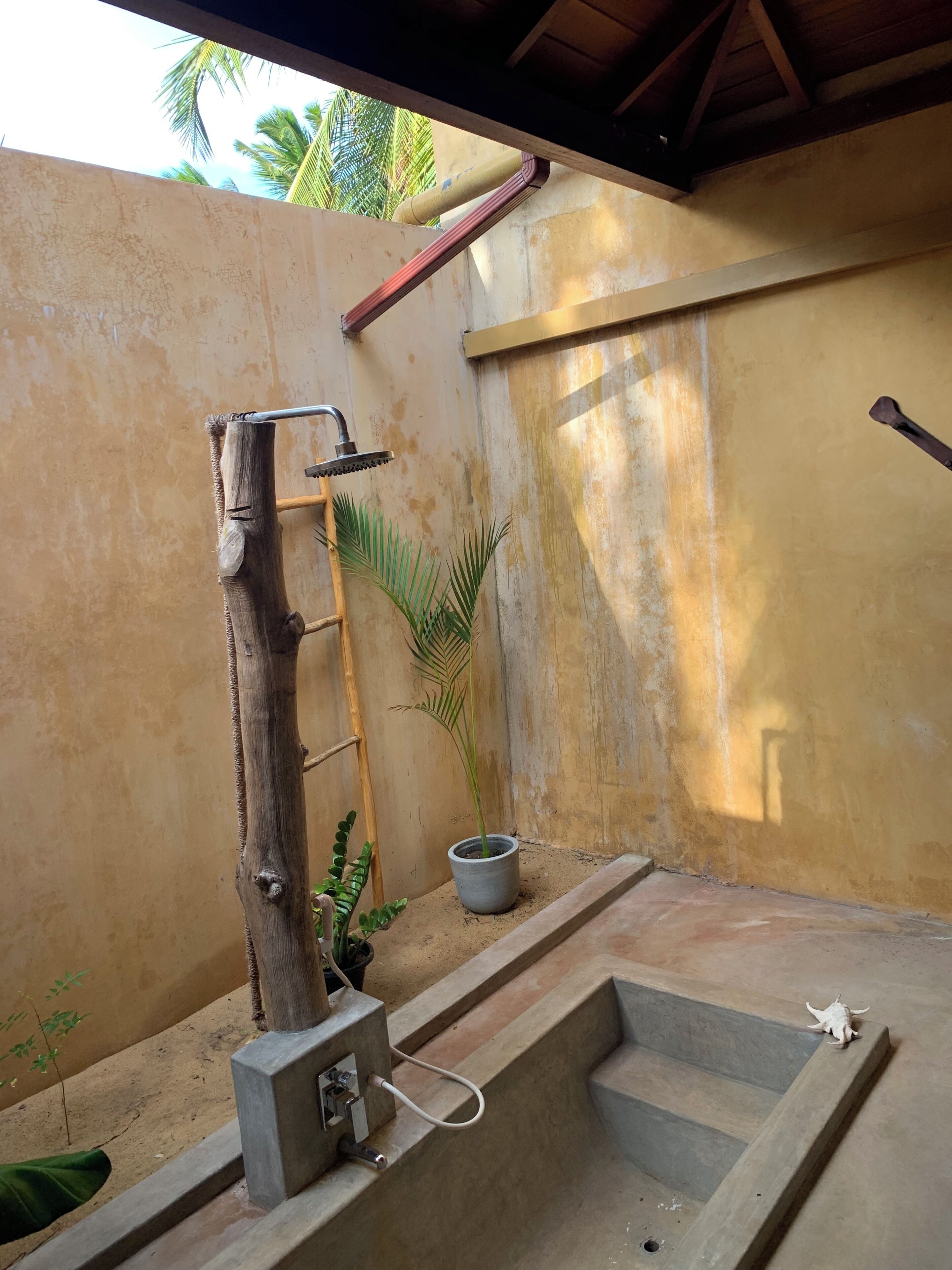 A concrete shower area with a wooden ladder, a potted plant, and a small sink.