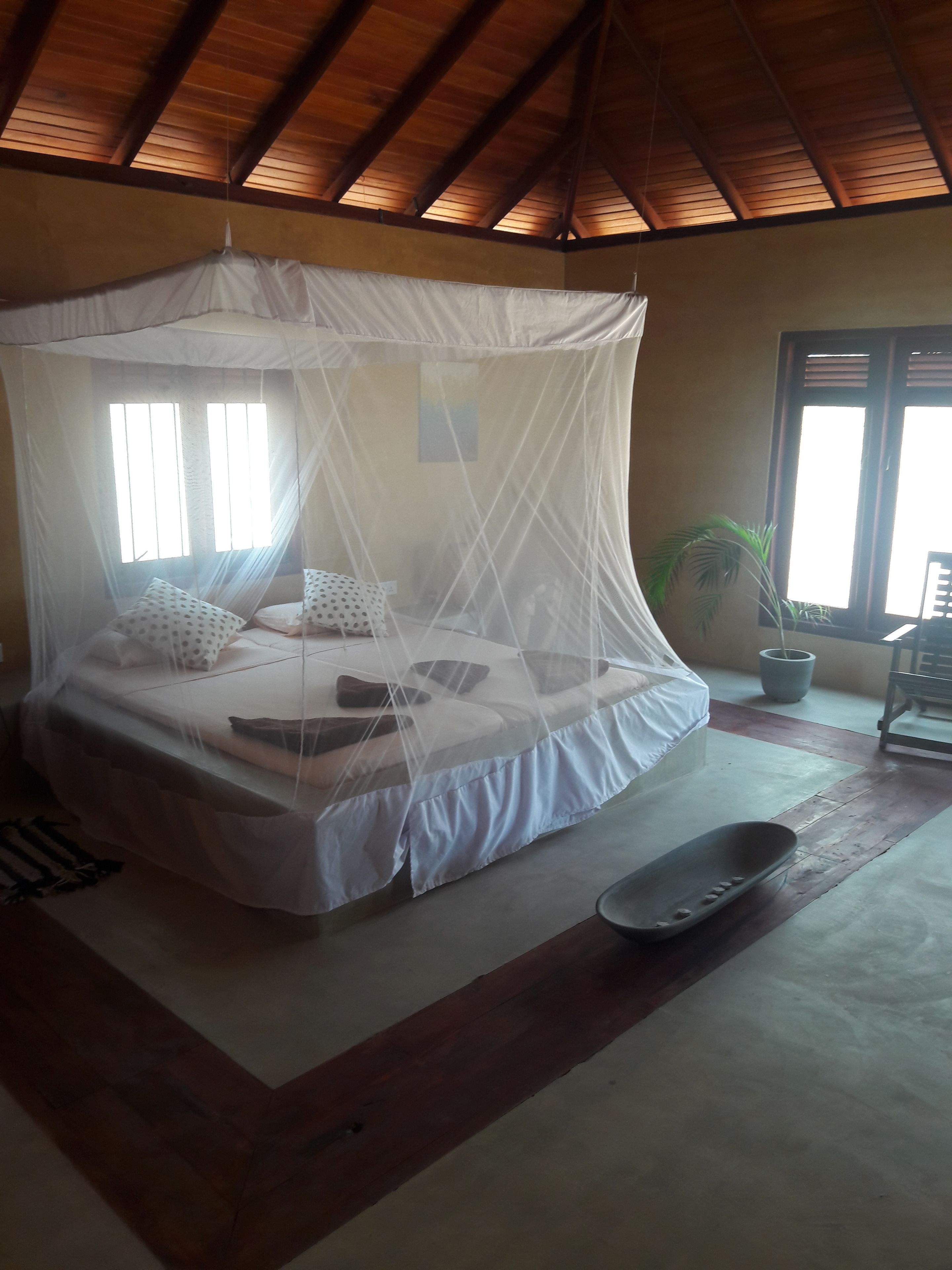 A bed with a mosquito net, a potted plant, and a wooden floor.