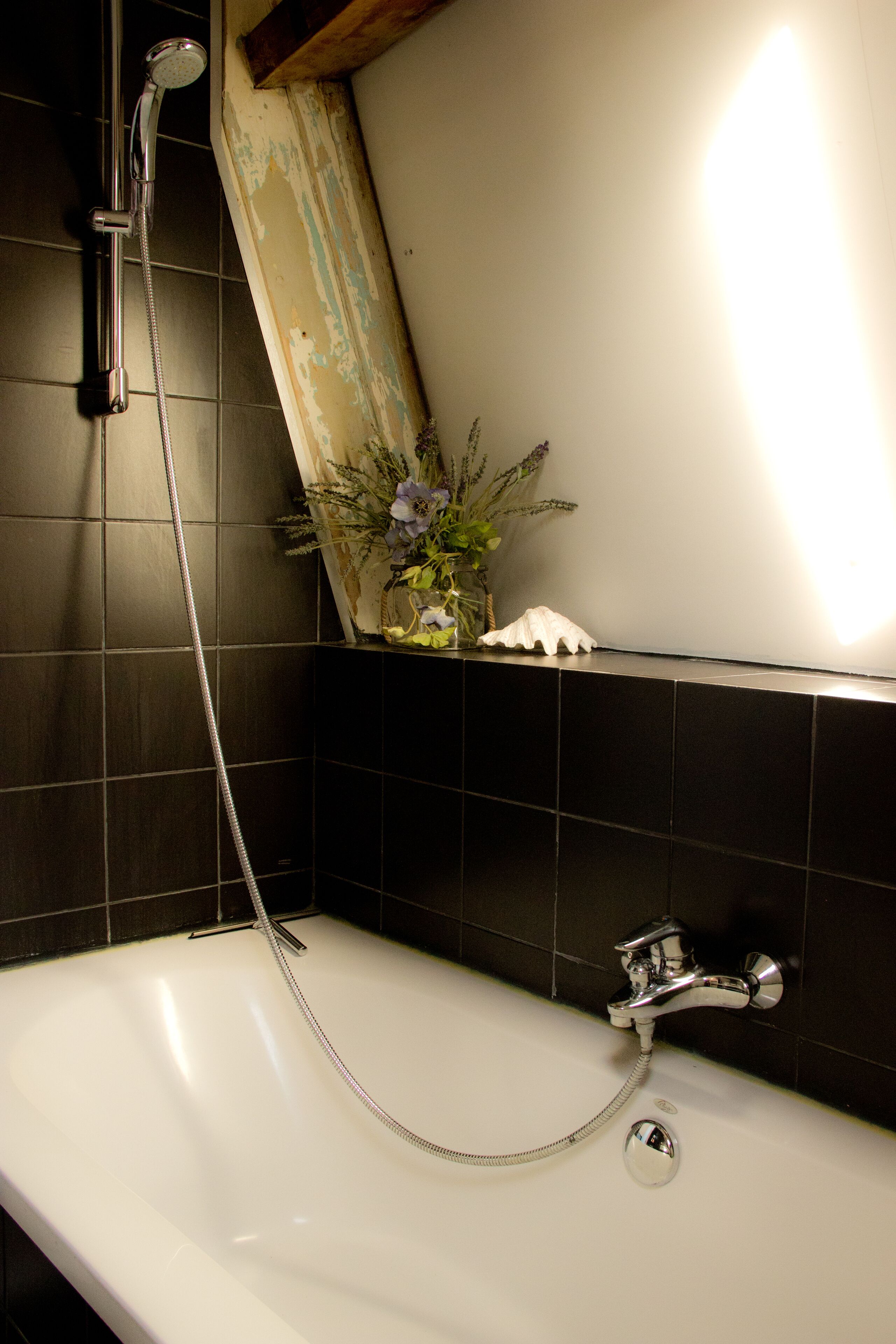 Ensemble douche/baignoire, sèche-cheveux, serviettes fournies, savon