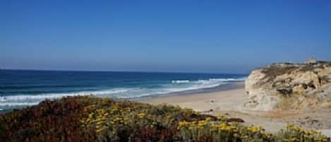 Playa en los alrededores, camastros y toallas de playa