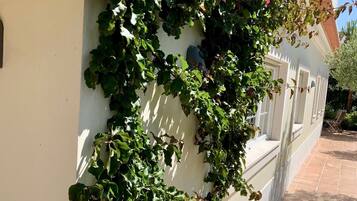 Detalhe da fachada