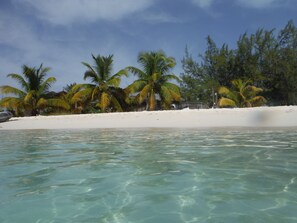 Toallas de playa 
