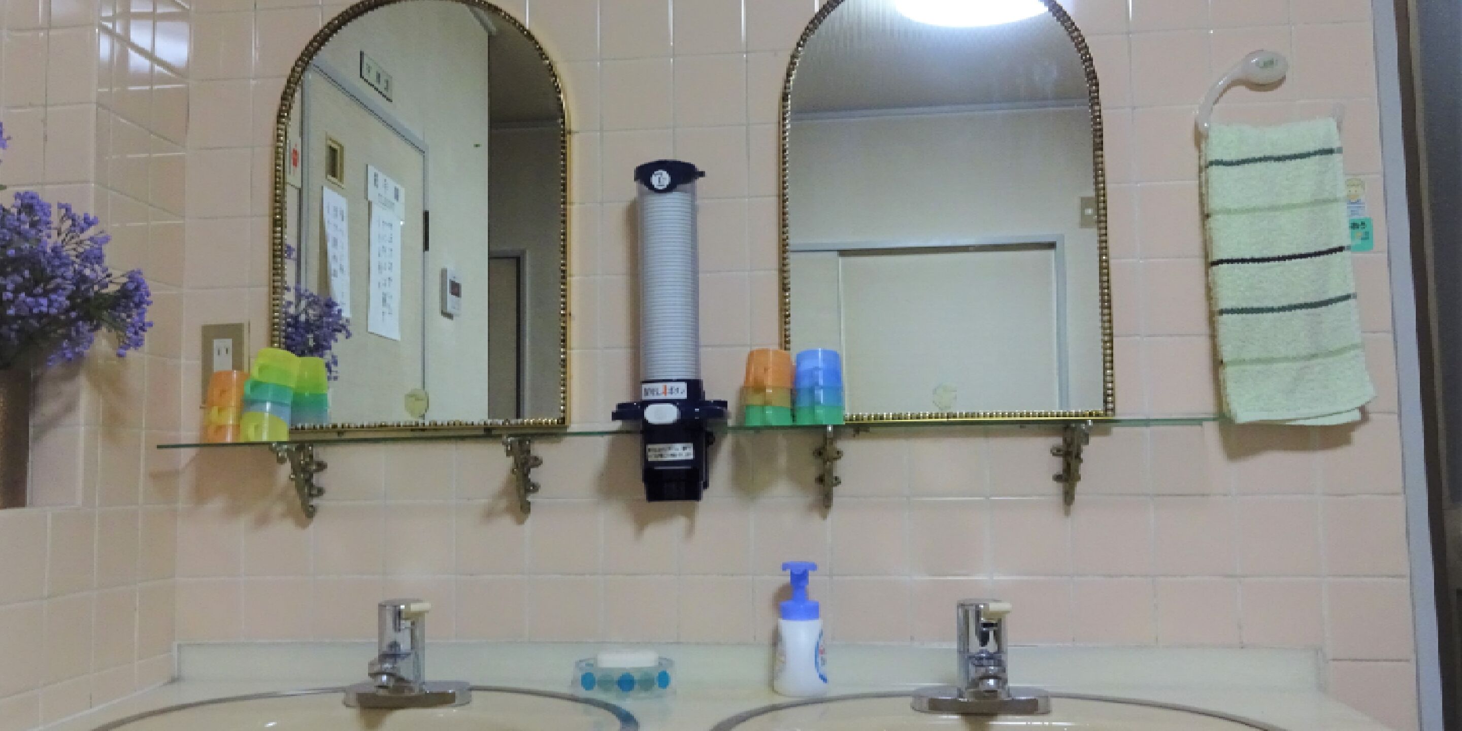 A bathroom with two sinks, a mirror, and a towel rack.