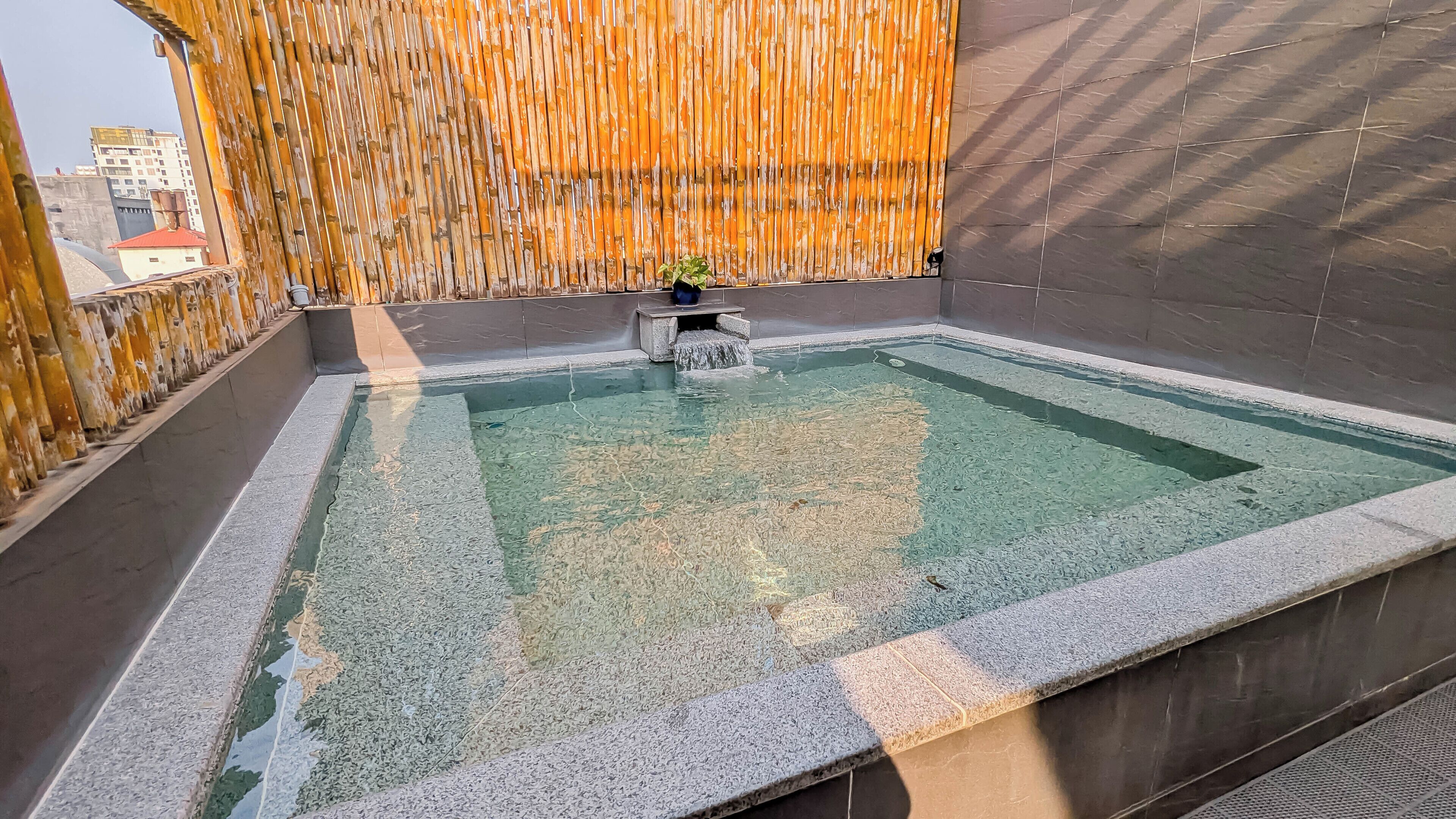 A rooftop pool with a bamboo backdrop, clear water, and a small plant.
