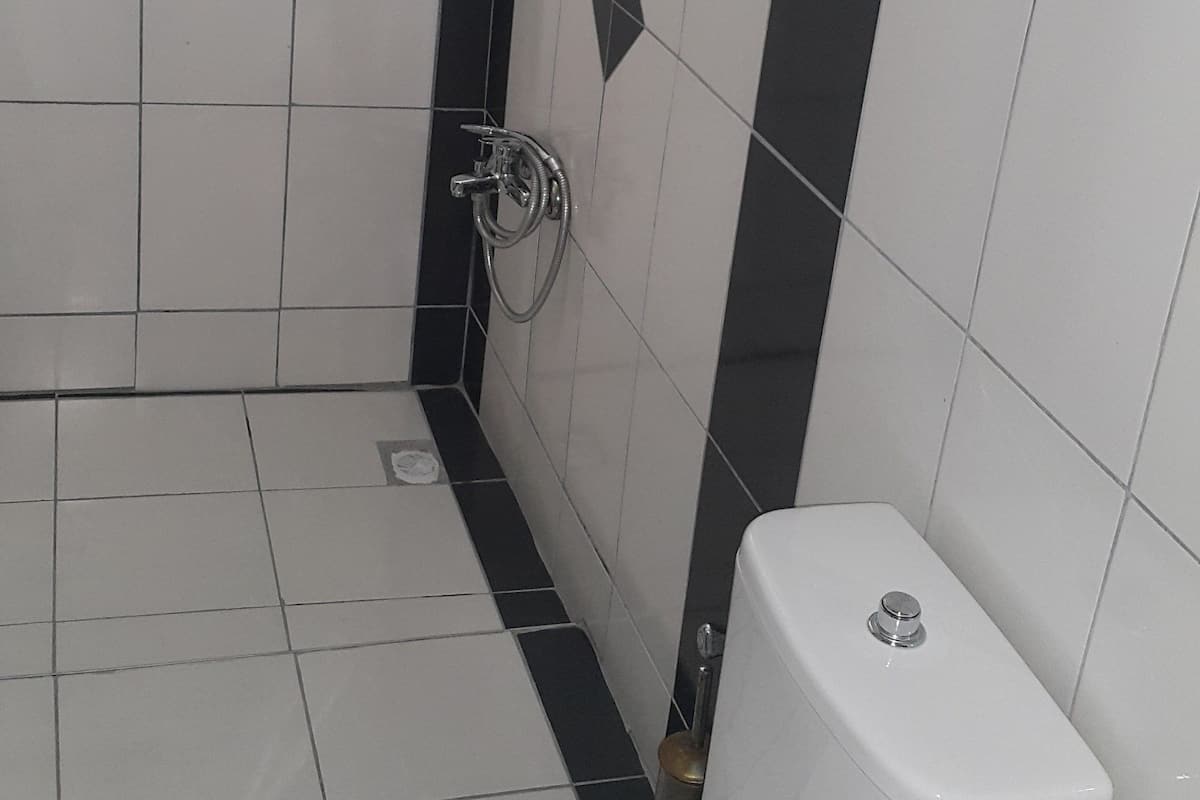 triple room | bathroom | shower, free toiletries, hair dryer, slippers