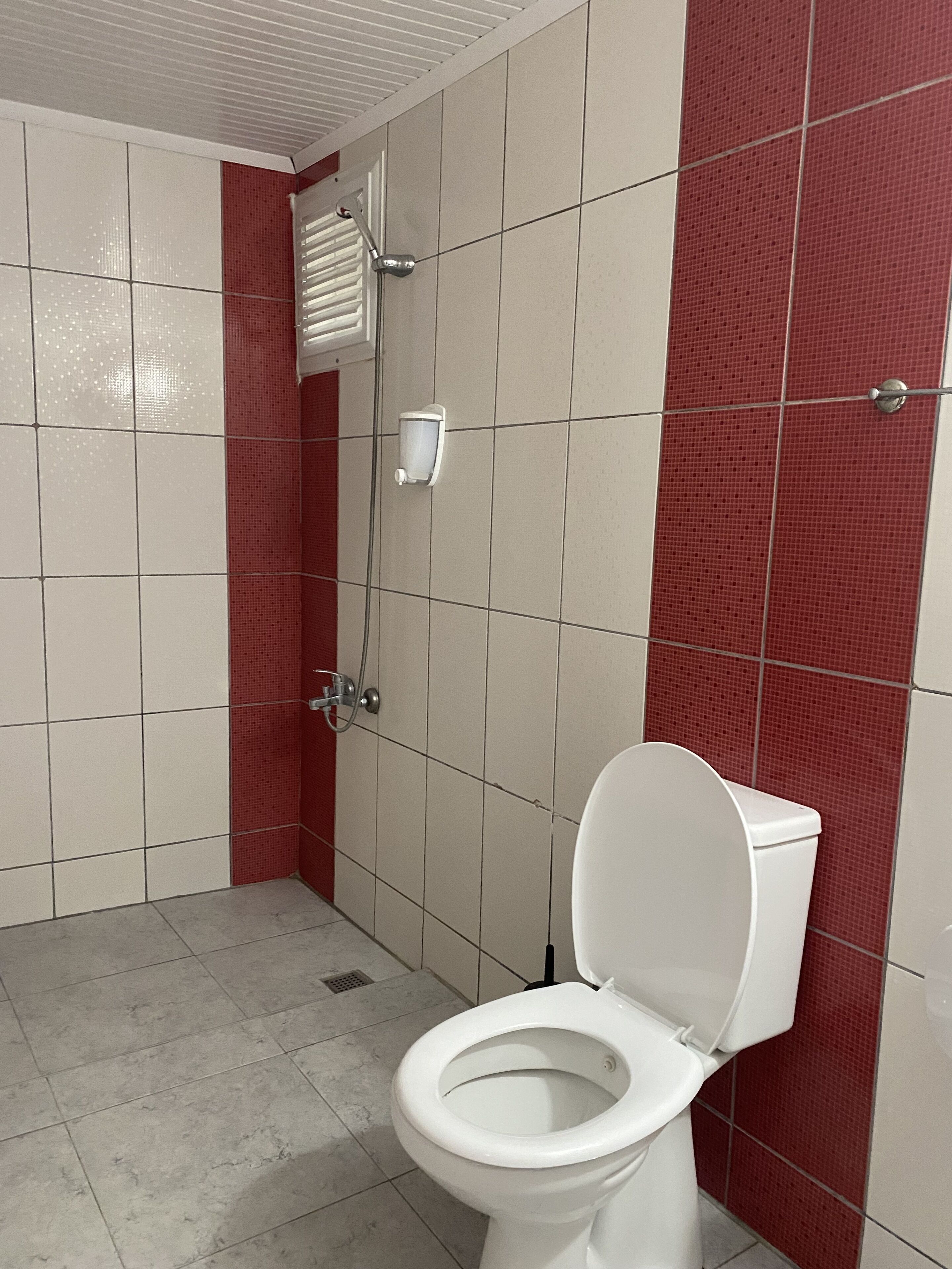 shower, free toiletries, hair dryer, slippers