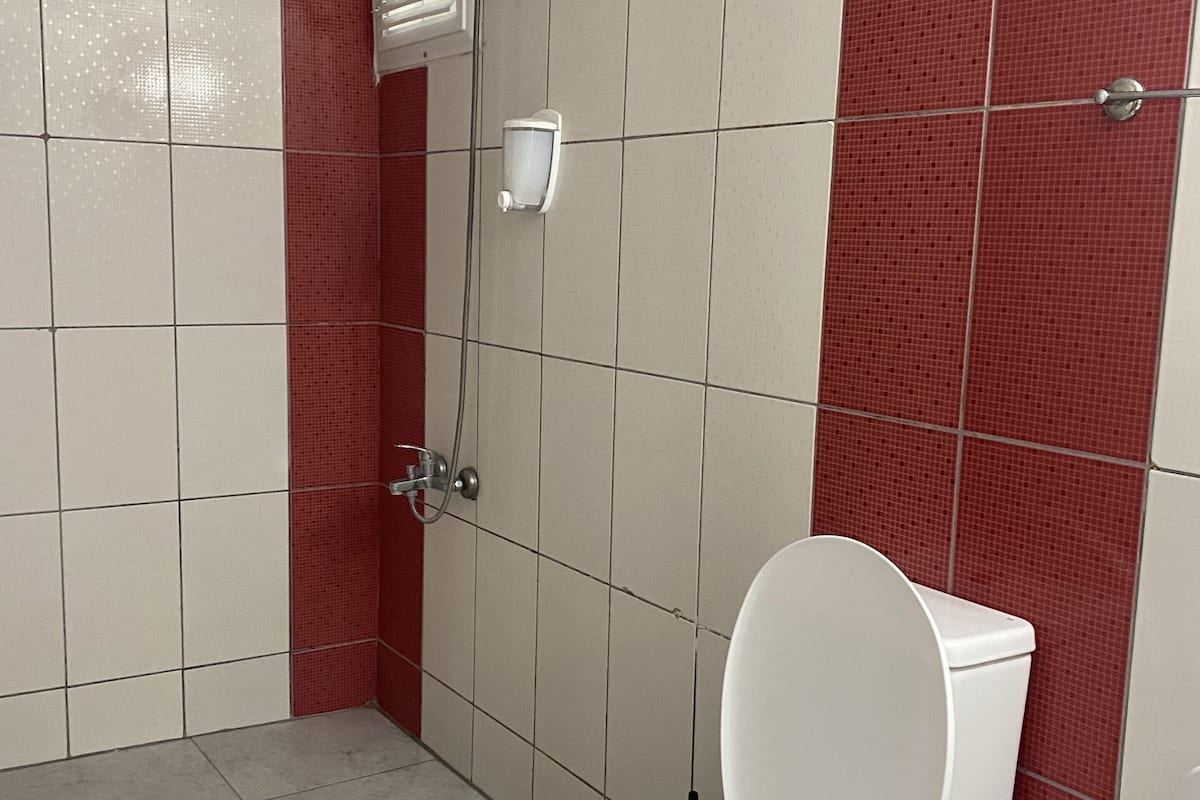 shower, free toiletries, hair dryer, slippers
