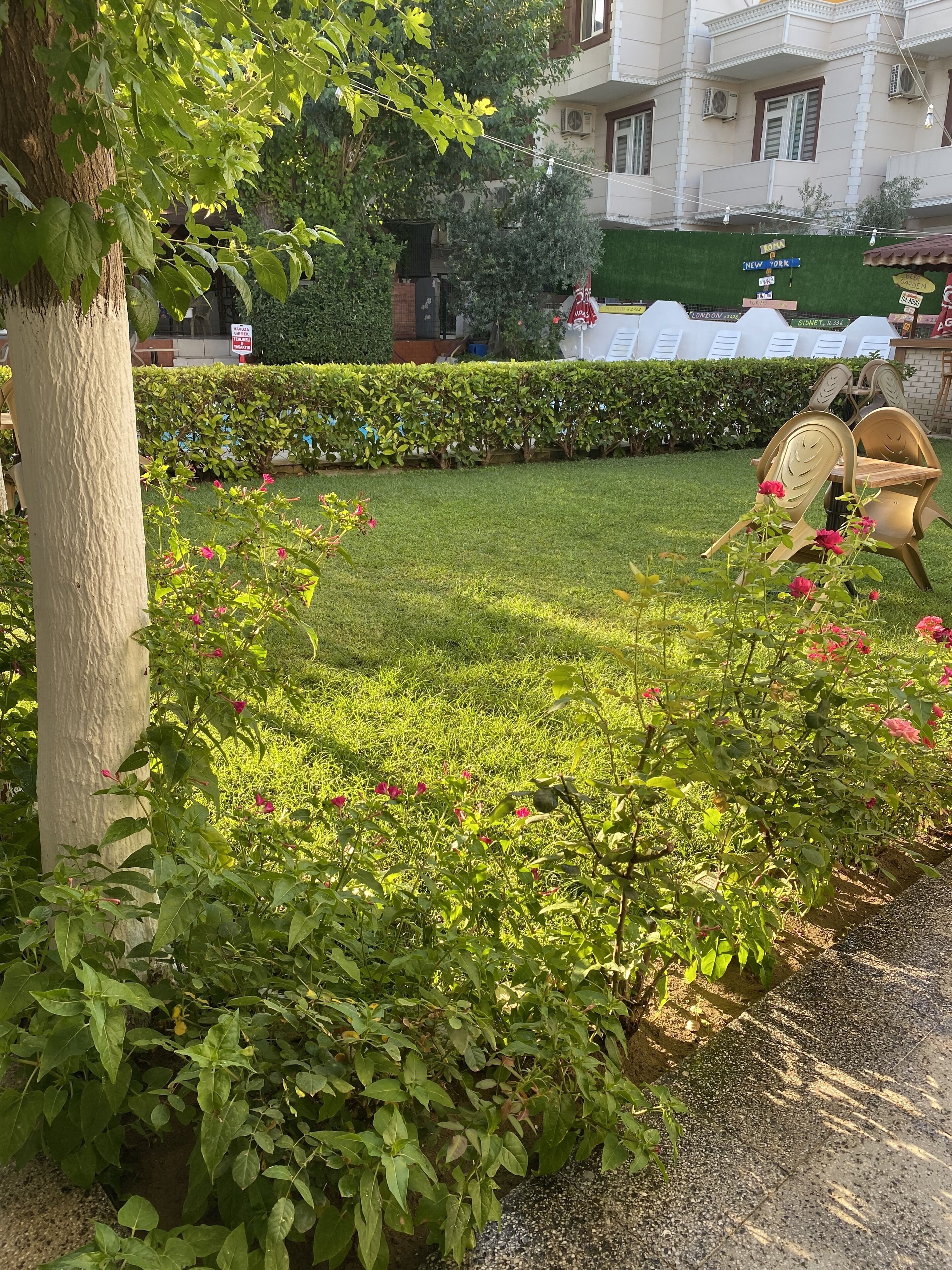 A well-maintained garden with a lawn, hedges, and flowering plants.