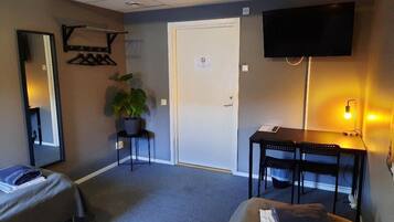 Une chambre d’hôtel avec un lit, un bureau, une chaise, une télévision, une plante et une porte.