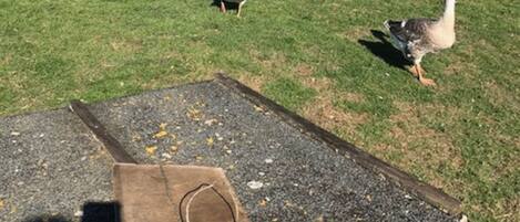 Parco della struttura