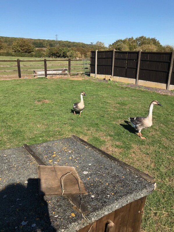 Parco della struttura