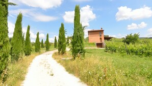 Un sentier rural mène à un bâtiment en briques doté d’un toit en pente, entouré de grands cyprès et d’un vignoble.