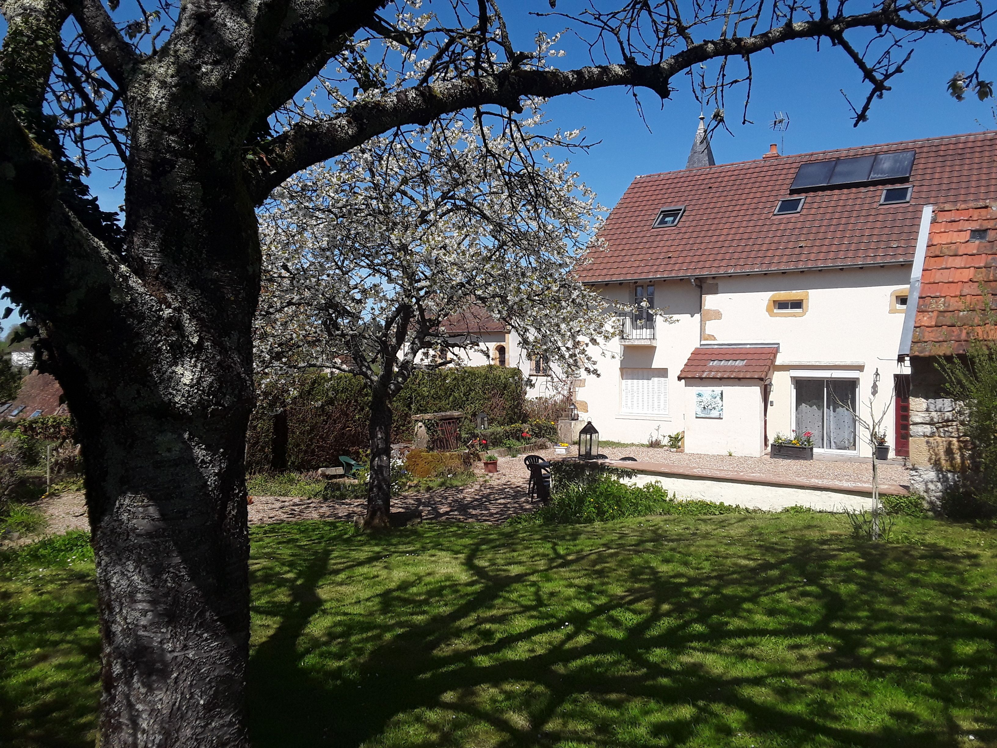 A house with a red-tiled roof, a garden with a lawn, and a tree with white blossoms.
